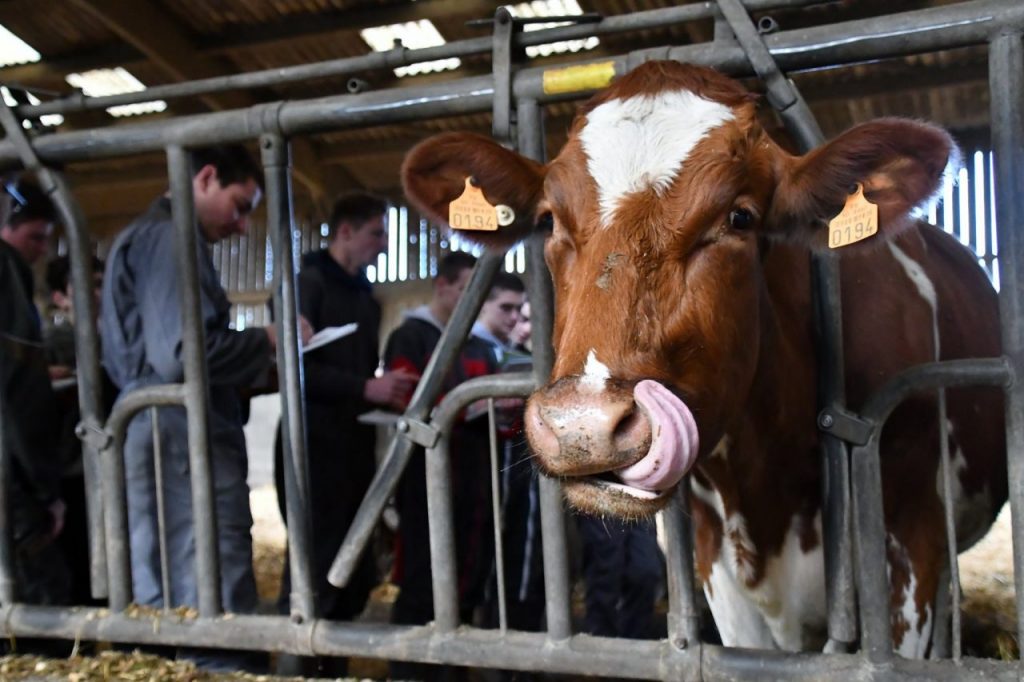 BTS Analyse, conduite et stratégie de l’entreprise agricole - Lycée agricole de Coutances