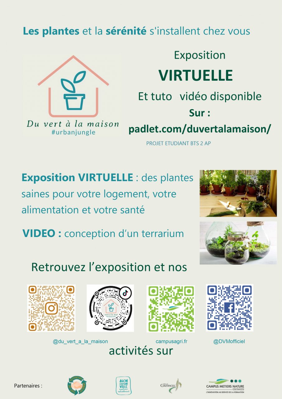 Exposition virtuelle : des plantes saines pour votre logement, votre alimentation et votre santé – 30 janvier 2021