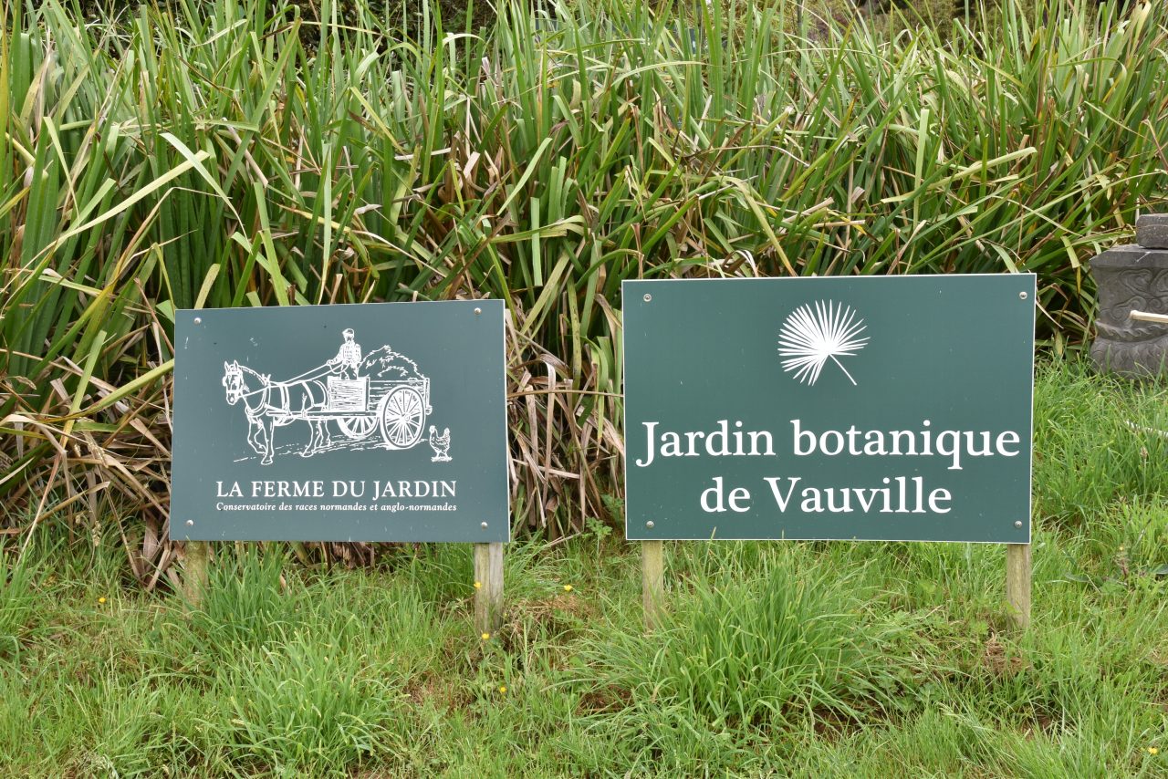 Visite du jardin botanique de Vauville