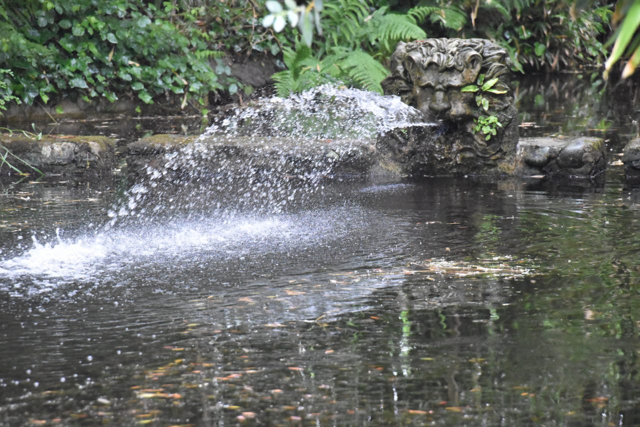 Visite du jardin botanique de Vauville - Campusagri.fr