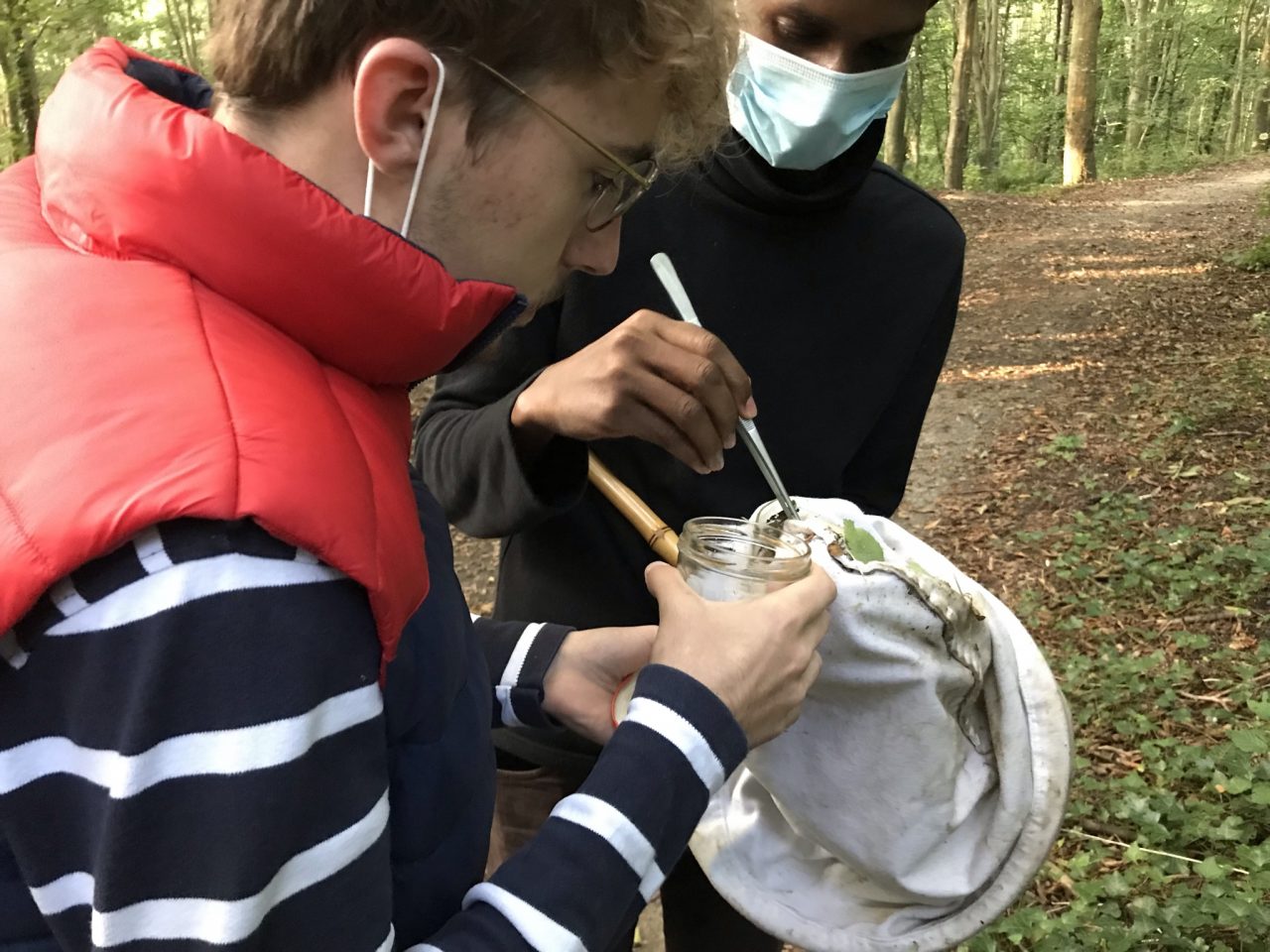 Qu’est-ce que la biodiversité ? Comment l’observer ?