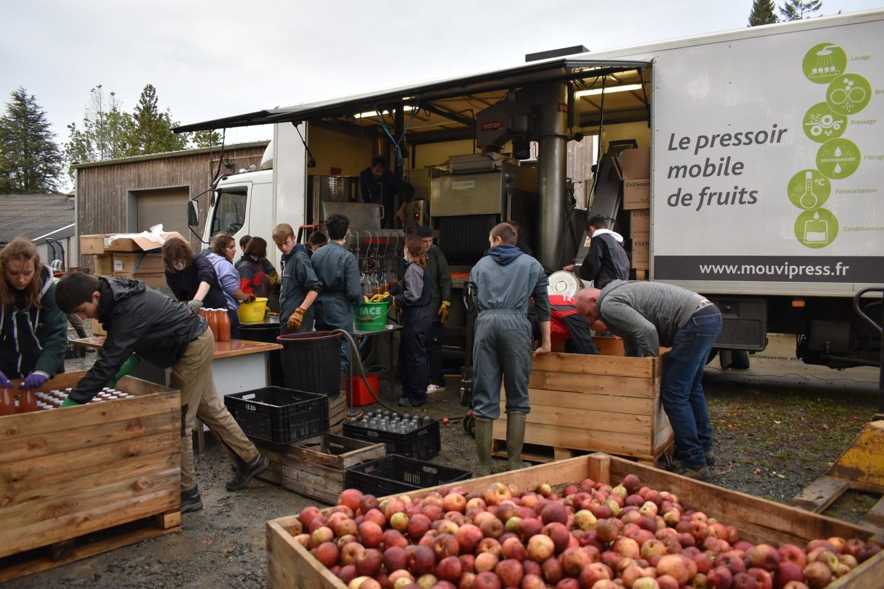 Fabrication de jus de pomme BIO