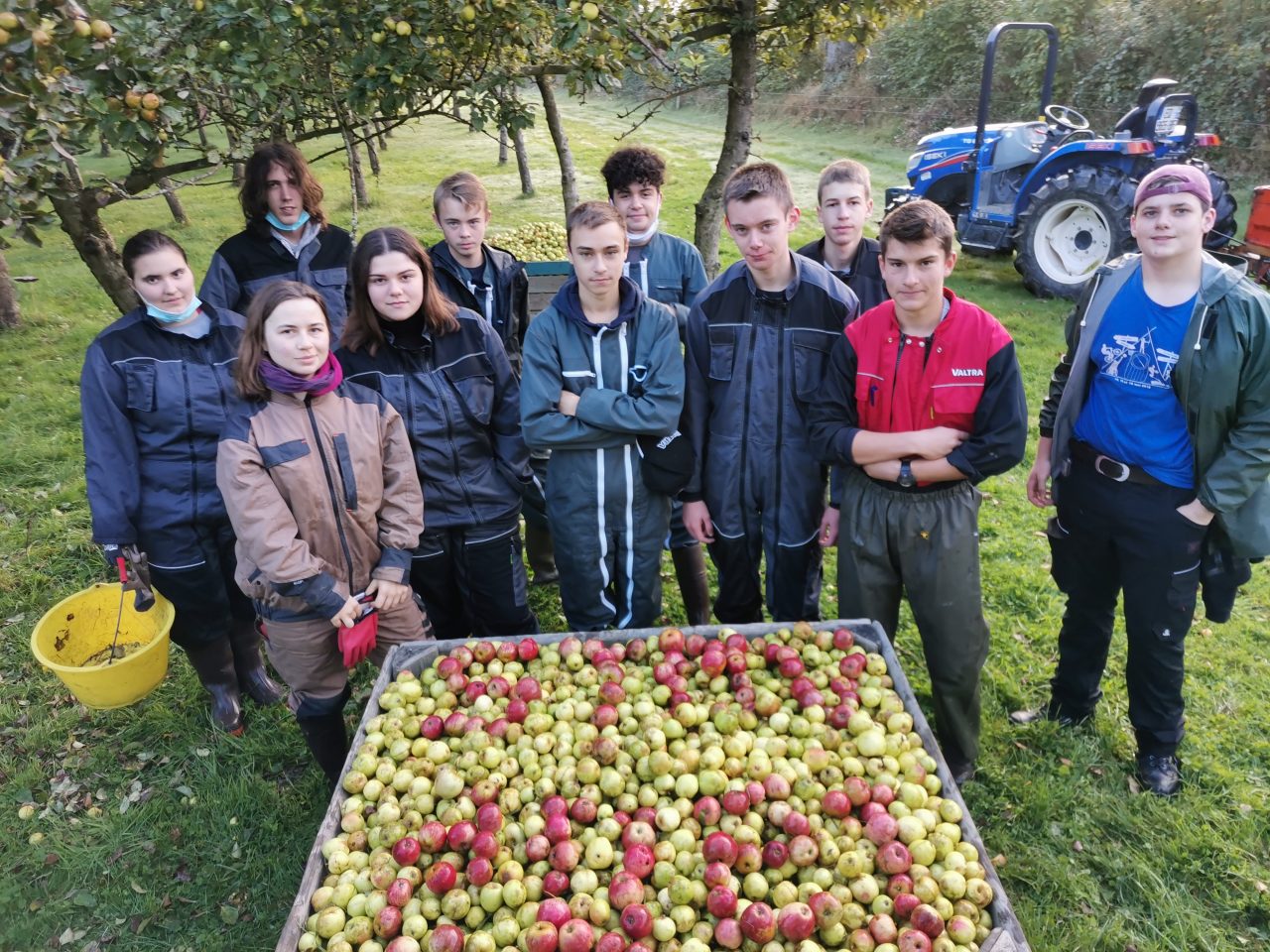 Récolte de pommes par les élèves de 1ère STAV