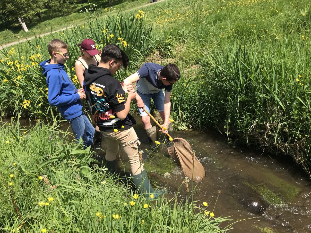 Evaluer la qualité de la rivière « le Bulsar » en observant les invertébrés