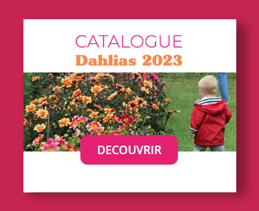 Catalogue des Dahlias