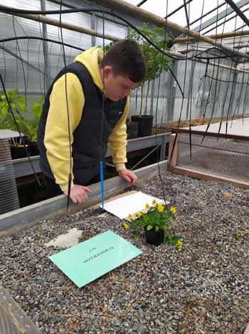 reconnaissance-végétaux-Lycée-élèves-seconde-conduite-de-productions-horticoles