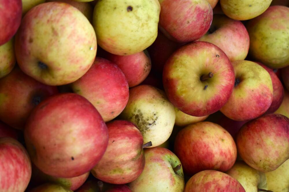 pommes coutances