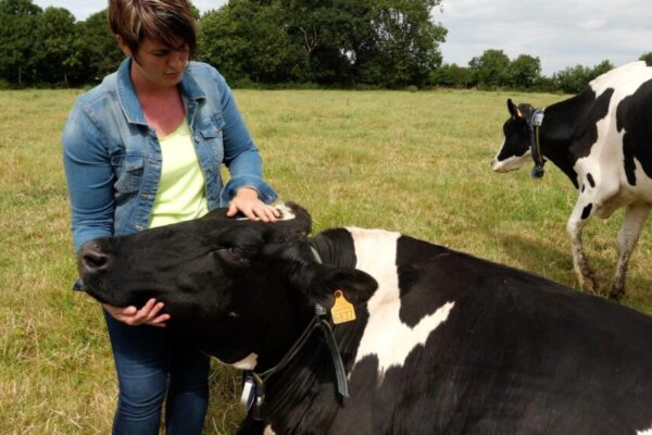 BPREA élevage formation adultes au CFPPA