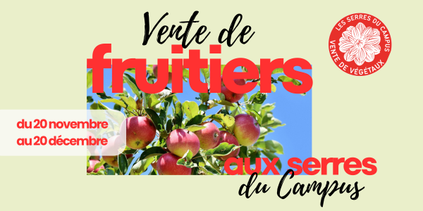 du 20 novembre au 20 décembre