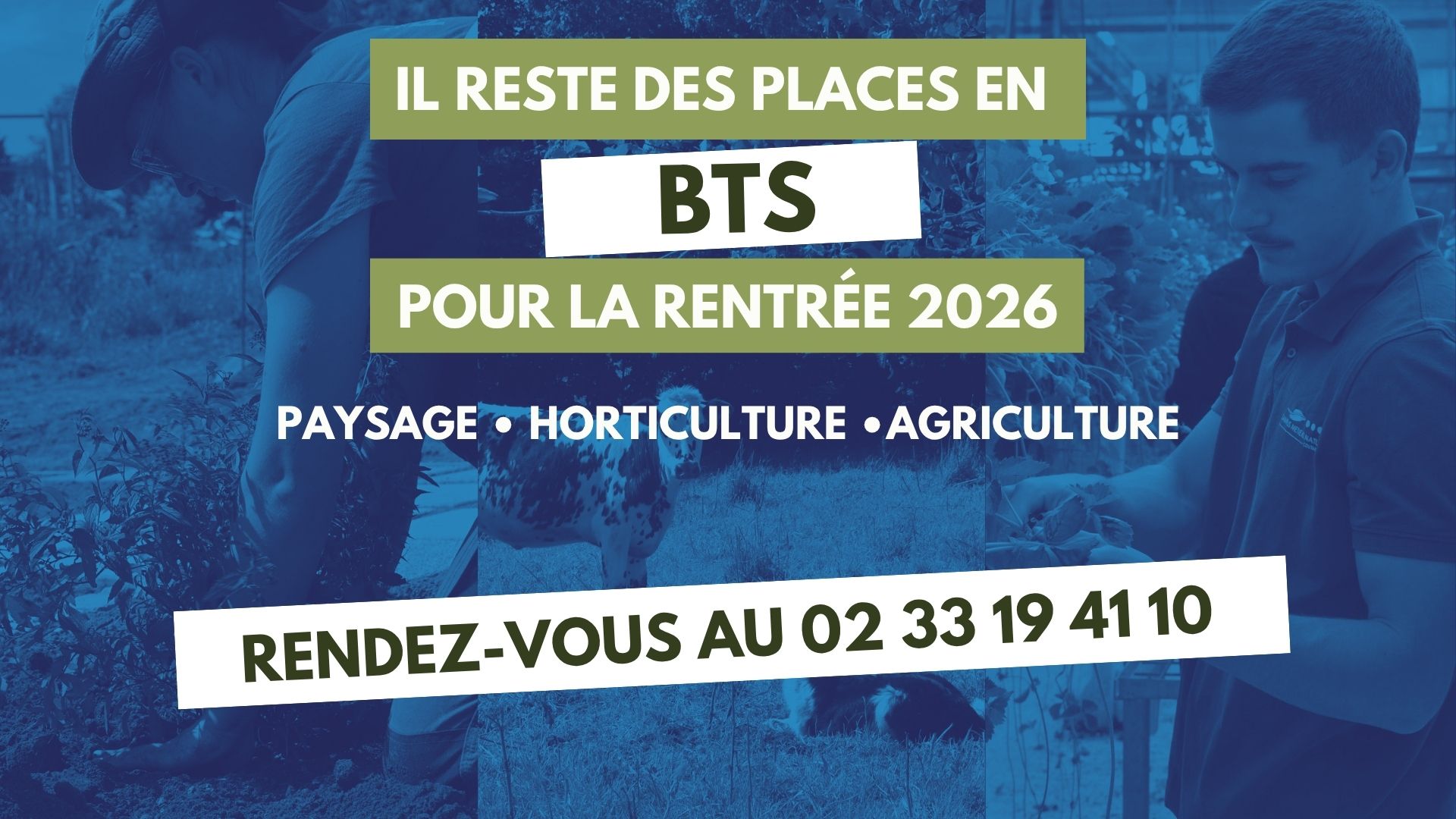 inscriptions bts