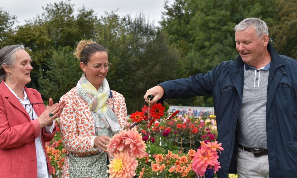 bapteme dahlias coutances 2023